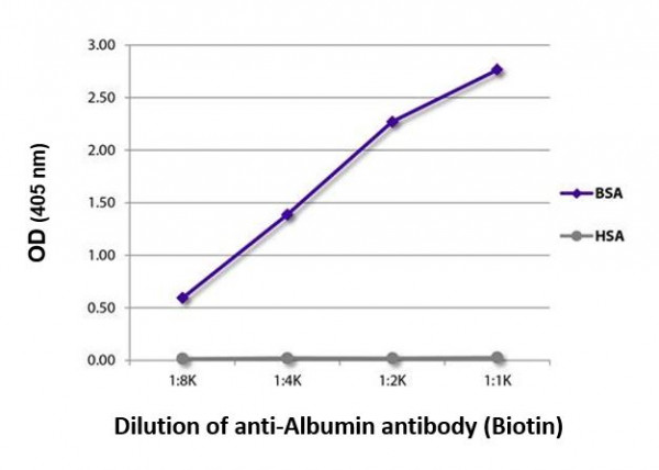 Anti-Albumin (Biotin), pre-adsorbed