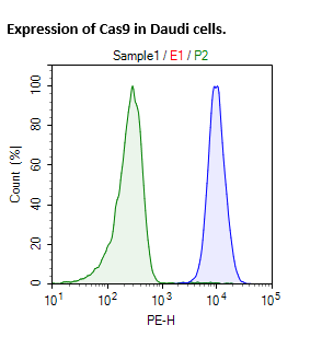 Cas9 Expressing Daudi Cell Pool