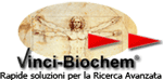 Vinci-Logo