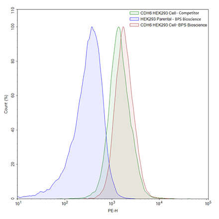 FluoSite Anti-CDH6 Antibody, PE Labeled