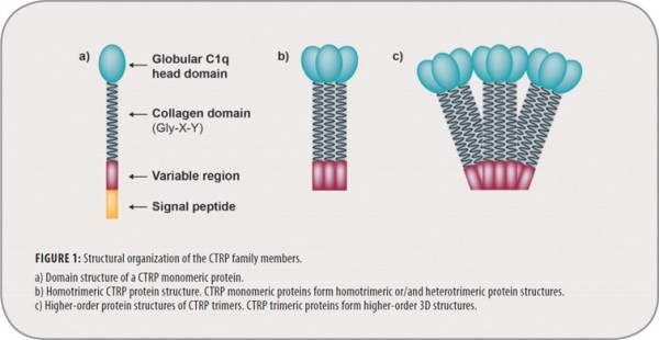 CTRP-Family