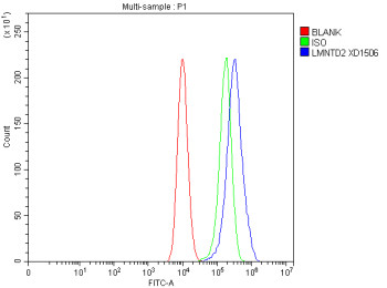 Anti-LMNTD2 / Lamin tail domain-containing protein 2