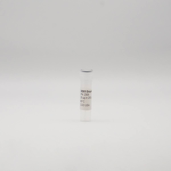 Recombinant DDX1 Enzyme, Active, Human