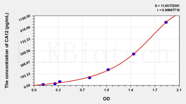Human CA12 (Carbonic Anhydrase XII) ELISA Kit