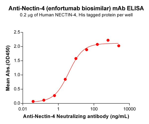Anti-Nectin-4(enfortumab biosimilar) mAb