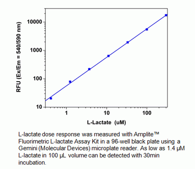 Amplite(TM) Fluorimetric L-Lactate Assay Kit