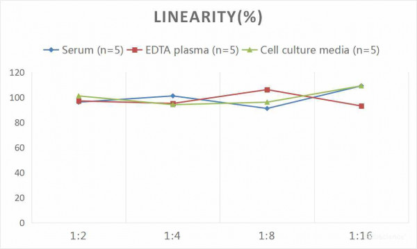 Mouse ADP/Acrp30 (Adiponectin) CLIA Kit