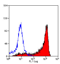 Anti-CD11b + CD11c (Biotin), clone OX-42