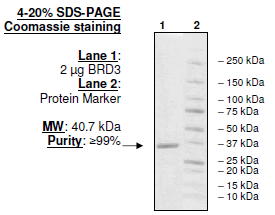 BRD3 (29-145), GST-tag, human recombinant protein