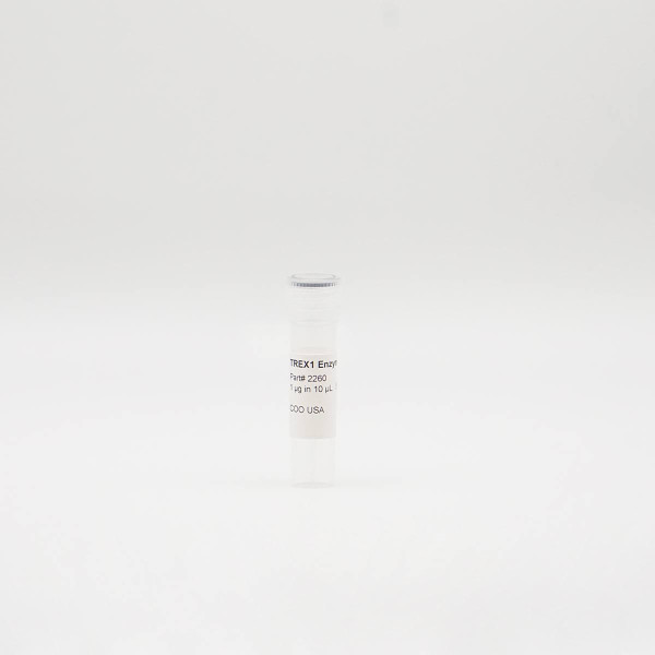 Recombinant TREX1 Enzyme, Active, Human