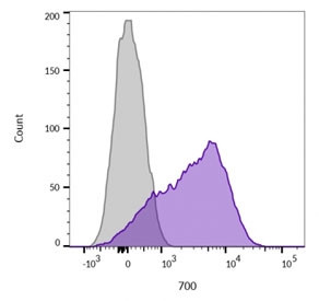 Anti-CD45 (Leukocyte marker), clone 136-4B5