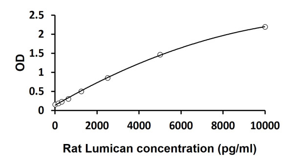 Rat Lumican ELISA Kit