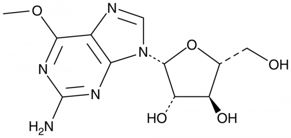 Nelarabine