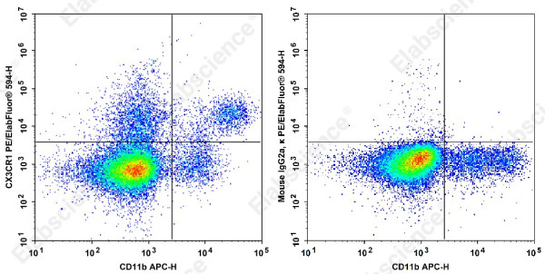 Anti-CX3CR1 Antibody[SA011F11]