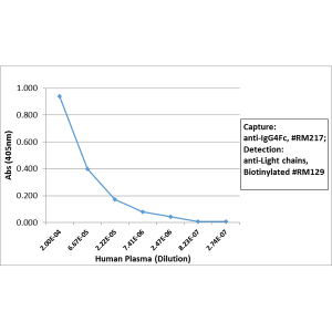 Anti-IgG4 Fc (human), Rabbit Monoclonal (RM217)