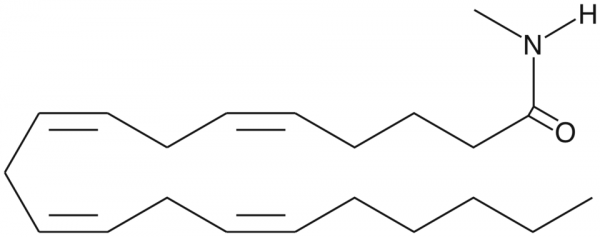 Arachidonoyl-N-methyl amide