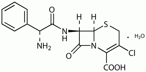 Cefaclor, Monohydrate