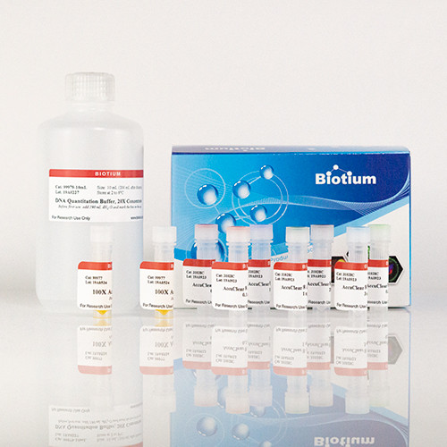 AccuClear(R) Ultra High Sensitivity dsDNA Quantitation Kit with DNA Standard, trial size