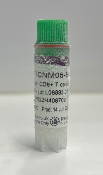 Frozen human CD8+ T cells - female donor