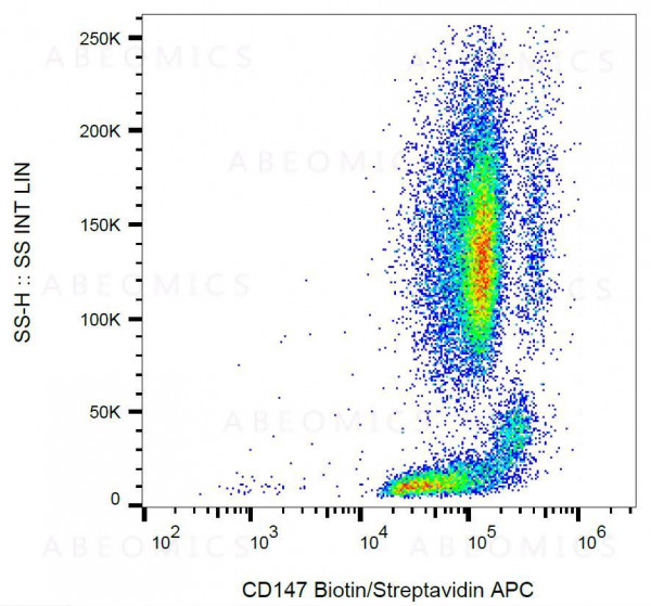 Anti-CD147 / Basigin / Neurothelin Monoclonal Antibody (Clone:MEM-M6/1)-Biotin Conjugated