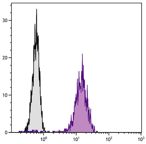 Anti-CD81 (Biotin), clone 2F7