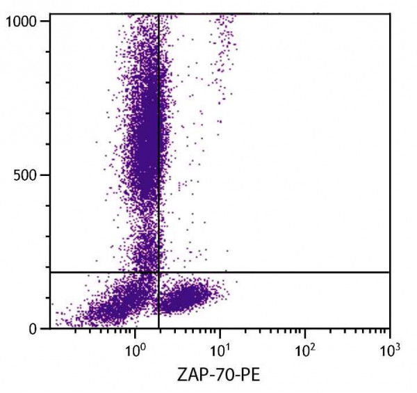Anti-ZAP-70 (PE), clone SBZAP