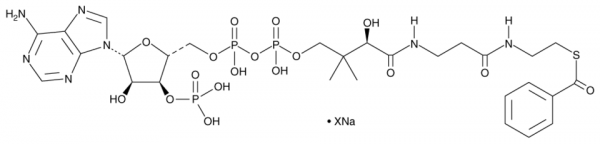 Benzoyl-Coenzyme A (sodium salt)