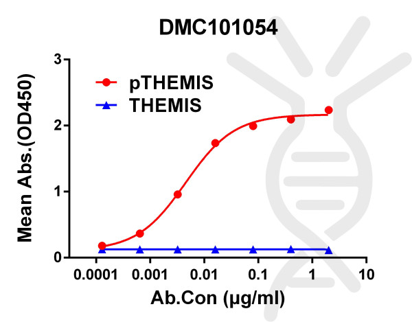 Anti-pTHEMIS antibody(4F2), IgG1 Chimeric mAb