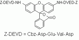 (Z-DEVD)2-R110