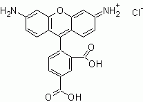 5-CR110 (5-Carboxyrhodamine 110) *Single isomer*
