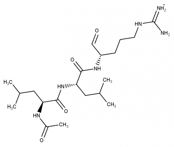 Leupeptin (Ac-Leu-Leu-Arginal-hemisulfate)