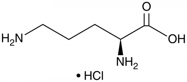 L-Ornithine (hydrochloride)