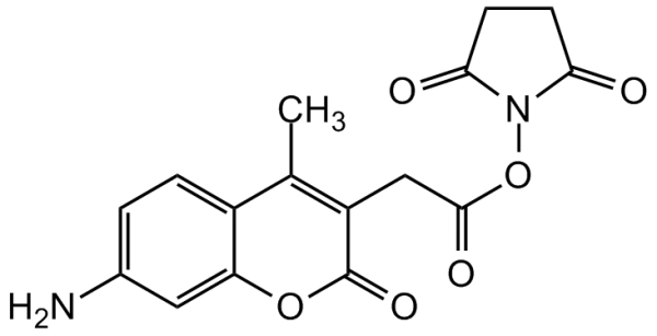 AMCA-H N-succinimidyl ester