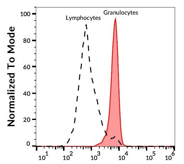 Anti-CD148, clone MEM-CD148/05 (PE )