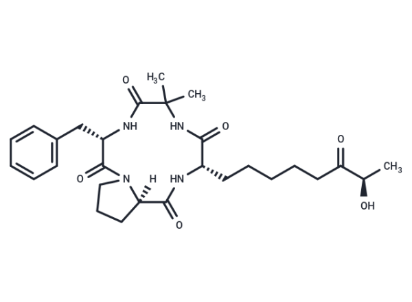 Dihydrochlamydocin analog-1