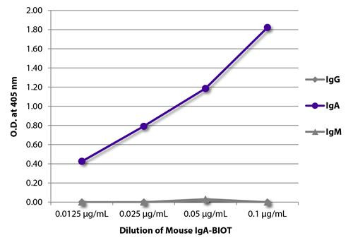 Mouse IgA Isotype Control antibody (Biotin), clone S107