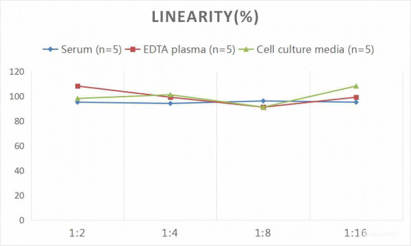 Human IL-17 (Interleukin 17) CLIA Kit