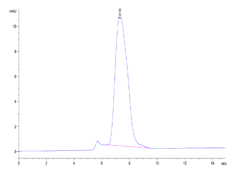 ECSCR hFc Chimera, Human