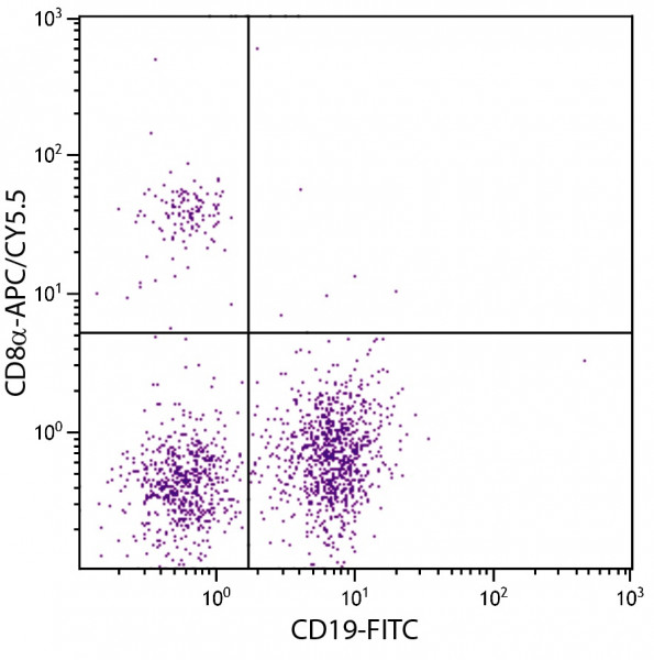 Anti-CD8a (APC/Cy5.5), clone 53-6.7