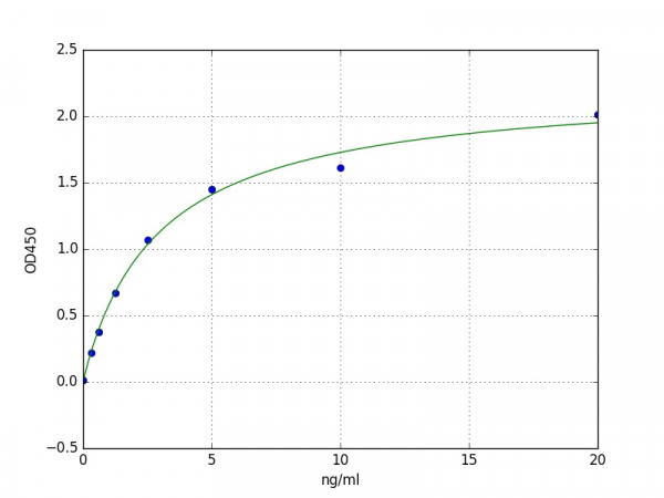 Human Ribonuclease T2 ELISA Kit