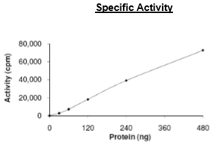 CDC7/DBF4 Complex