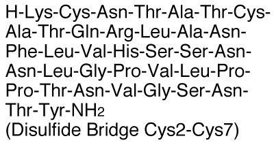 Amylin, rat