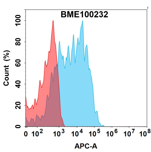 Anti-CDH6(raludotatug biosimilar) mAb
