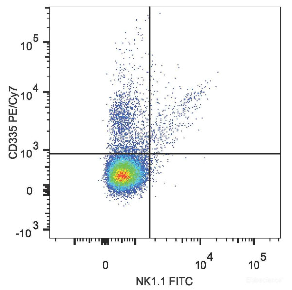 Anti-Mouse CD335, PE/Cyanine7 conjugated, clone 29A1.4
