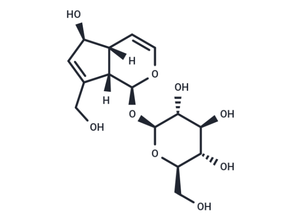 Aucubin