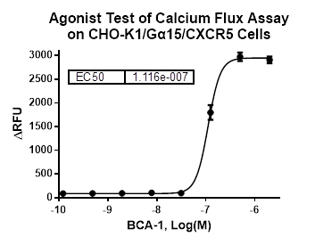 CHO-K1/Galpha15/CXCR5
