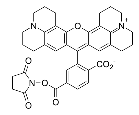 6-ROX SE
