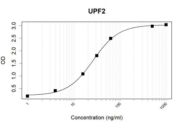 Anti-Human UPF2 Antibody Pair