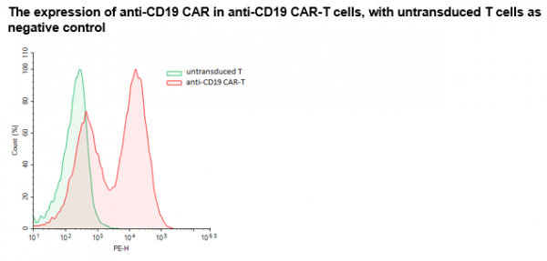 Untransduced T Cells