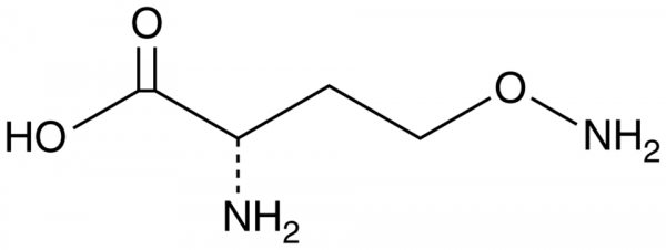 L-Canaline